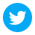 Twitter Icon